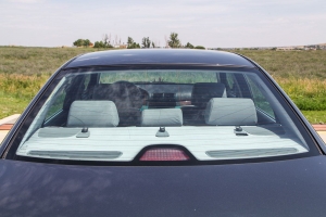 2000 BMW 528i thumbnail